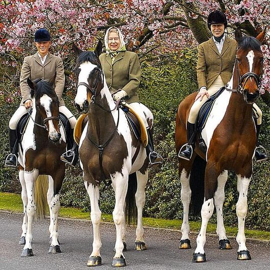 It is with deep sadness that the Diamond Centre  marks the death of Her Majesty The Queen. We are all hugely grateful for Her Majesty's life of service, her generouous support for charities and for her love horses. We offer our sincere condolences to Her Majesty's family.