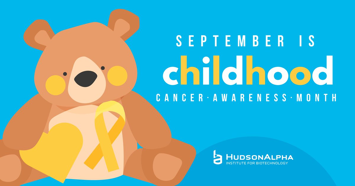 🎗️September is Childhood Cancer Awareness Month 🎗️

To find answers to childhood cancer, HudsonAlpha &amp; <a href="/DiscLS/">Discovery Life Sciences</a> are sequencing genomes of children with the disease thanks to a grant funded by the <a href="/NIH/">NIH</a>.  

Learn more: commonfund.nih.gov/kidsfirst // hudsonalpha.org/pediatrics/