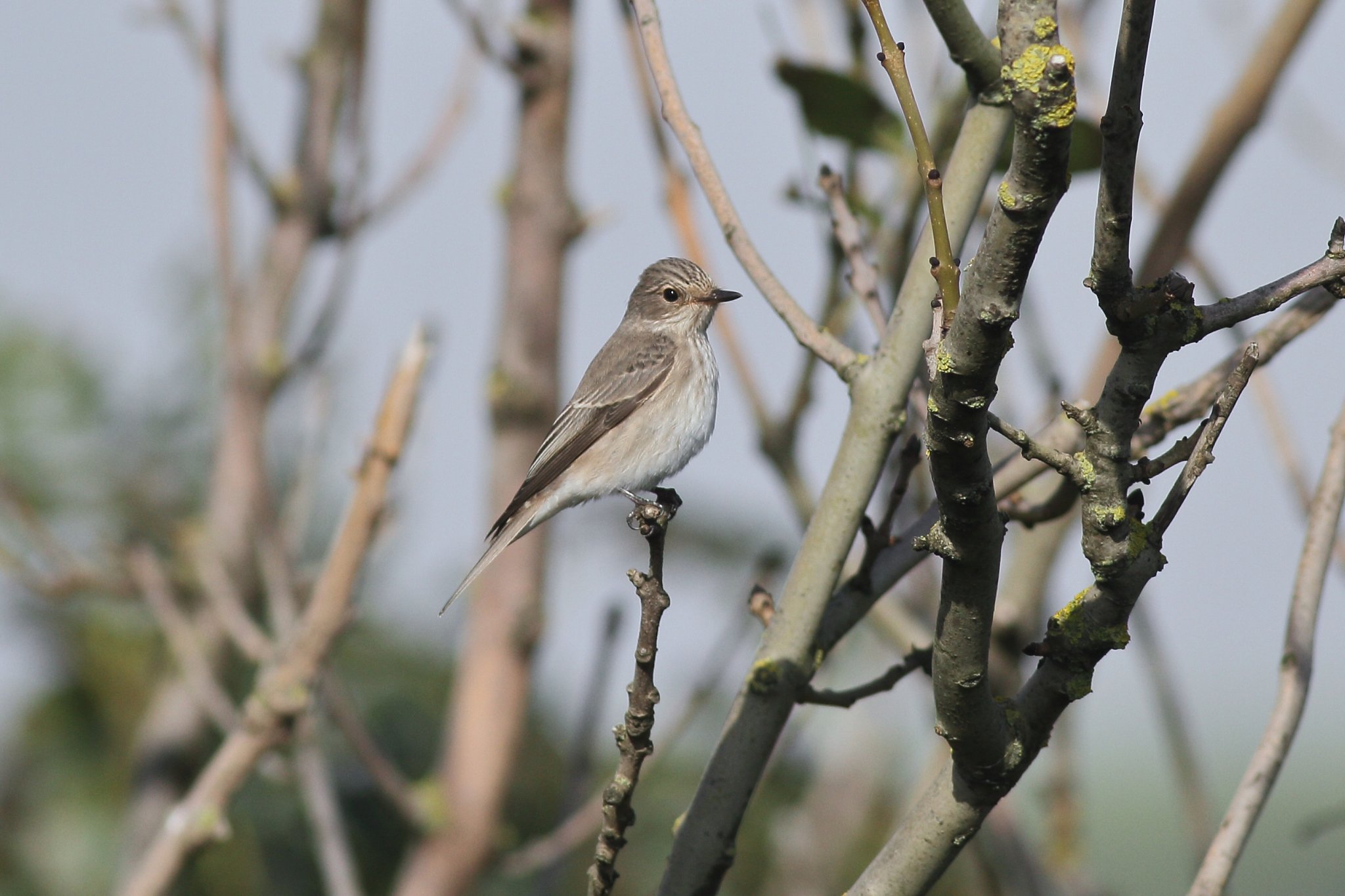 Steve Egglestone on Twitter: Steve Egglestone on Twitter: