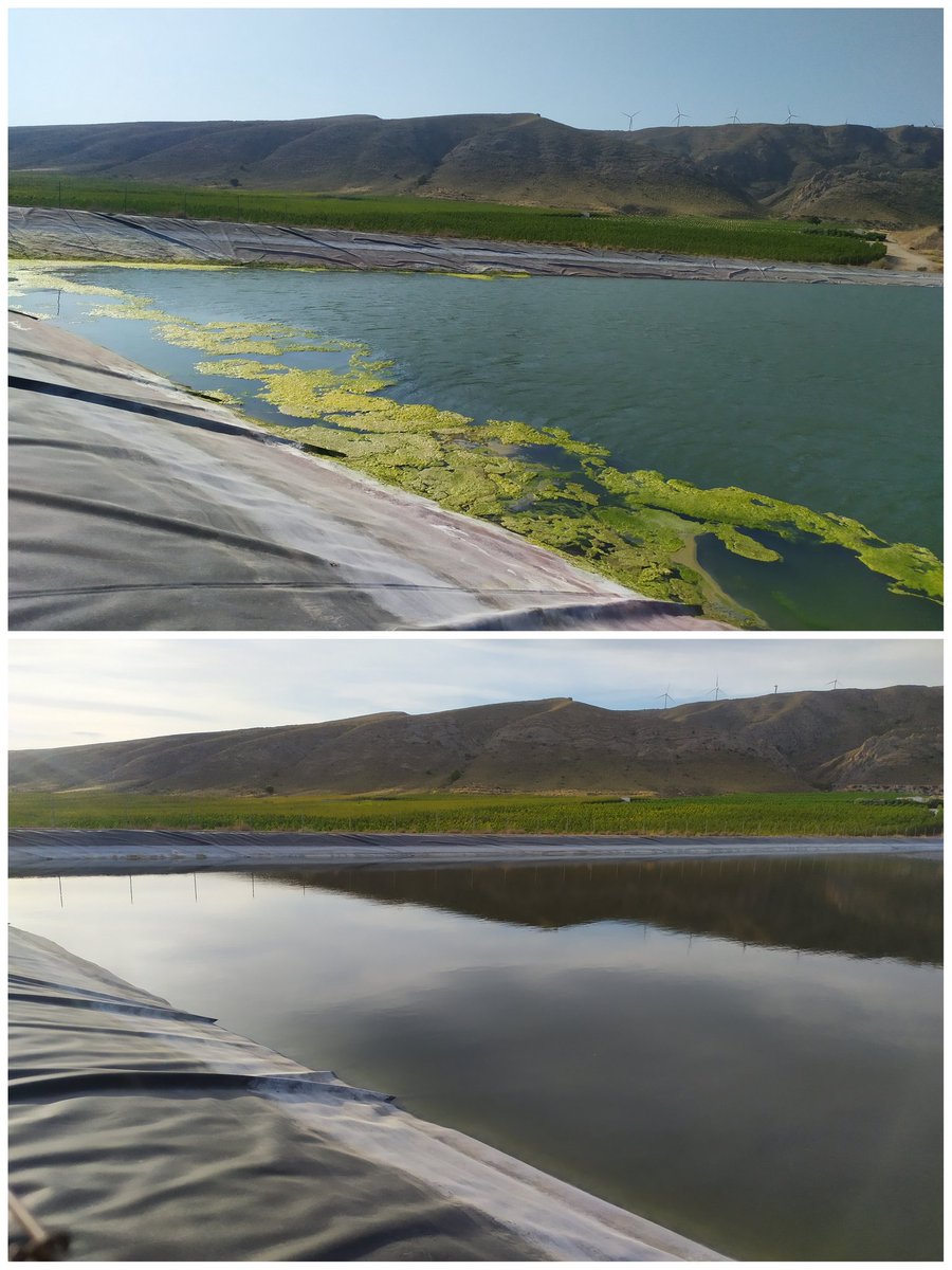 angeltupamaro's tweet photo. Embalse de riego para frutales en Cieza. Después de 30 días con mi dispositivo ultrasónico, estos son los resultados...... https://t.co/olXUumtzSh