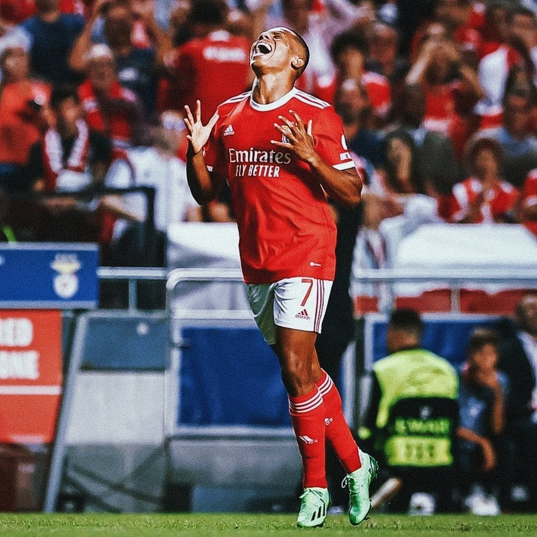 Glorioso_1904's tweet photo. Fotos referentes à 1ª jornada da fase de grupos da @ChampionsLeague onde o @SLBenfica ganhou 2-0 ao @mhfootballclub 🔴⚪️🦅💪🏻
Neres foi titular e jogou 65 minutos! 🔥
#UCL #SLBMAC https://t.co/pe4YRSCWLZ
