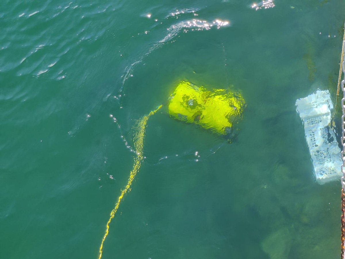 seaclearproject's tweet photo. Here we go! Starting a new test campaign of our sea floor cleaning system in the beautiful city of Marseille ๐ซ๐ท, home of our partner @SubseaTech_
#SeaClear๐ #RobotsHelpingEarth https://t.co/xYbMMpIsSy