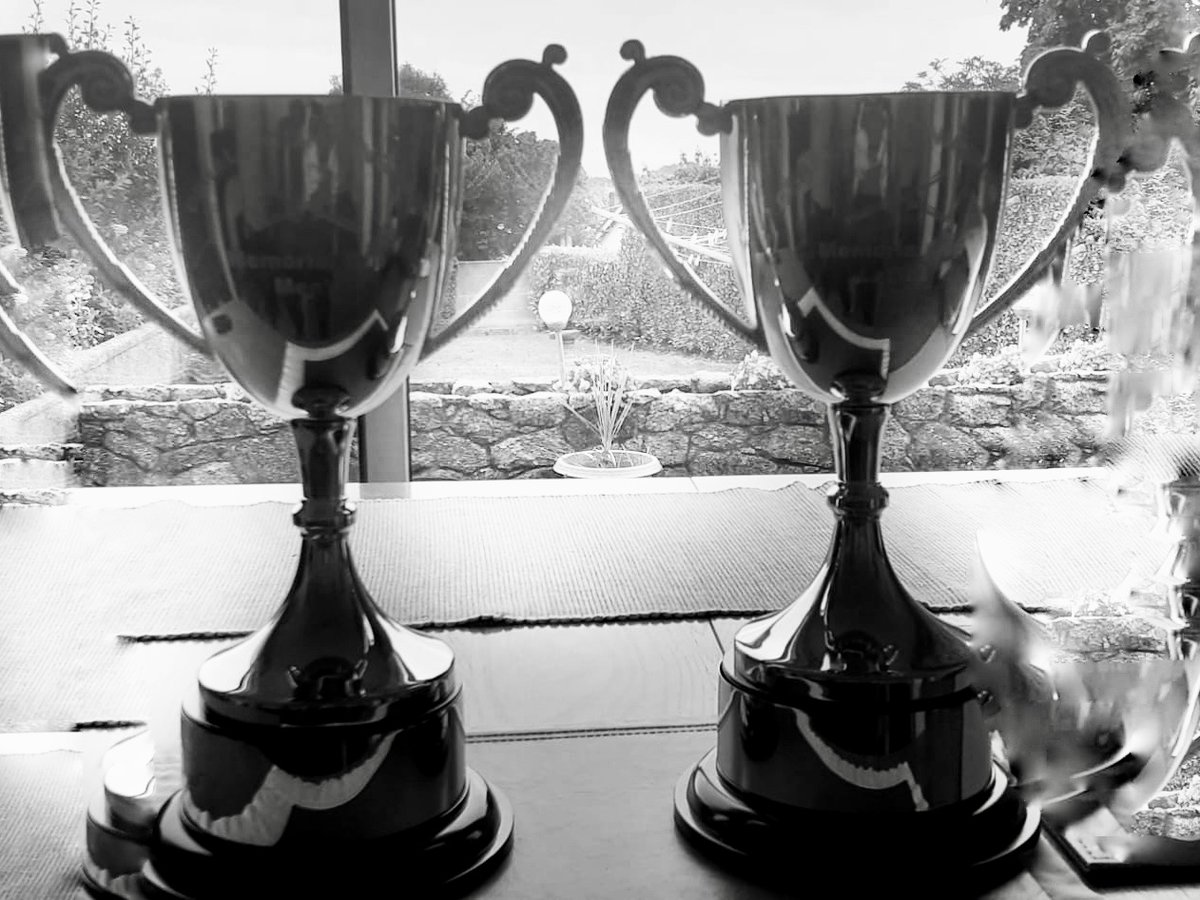 Dalkey Rowing Club tweet media