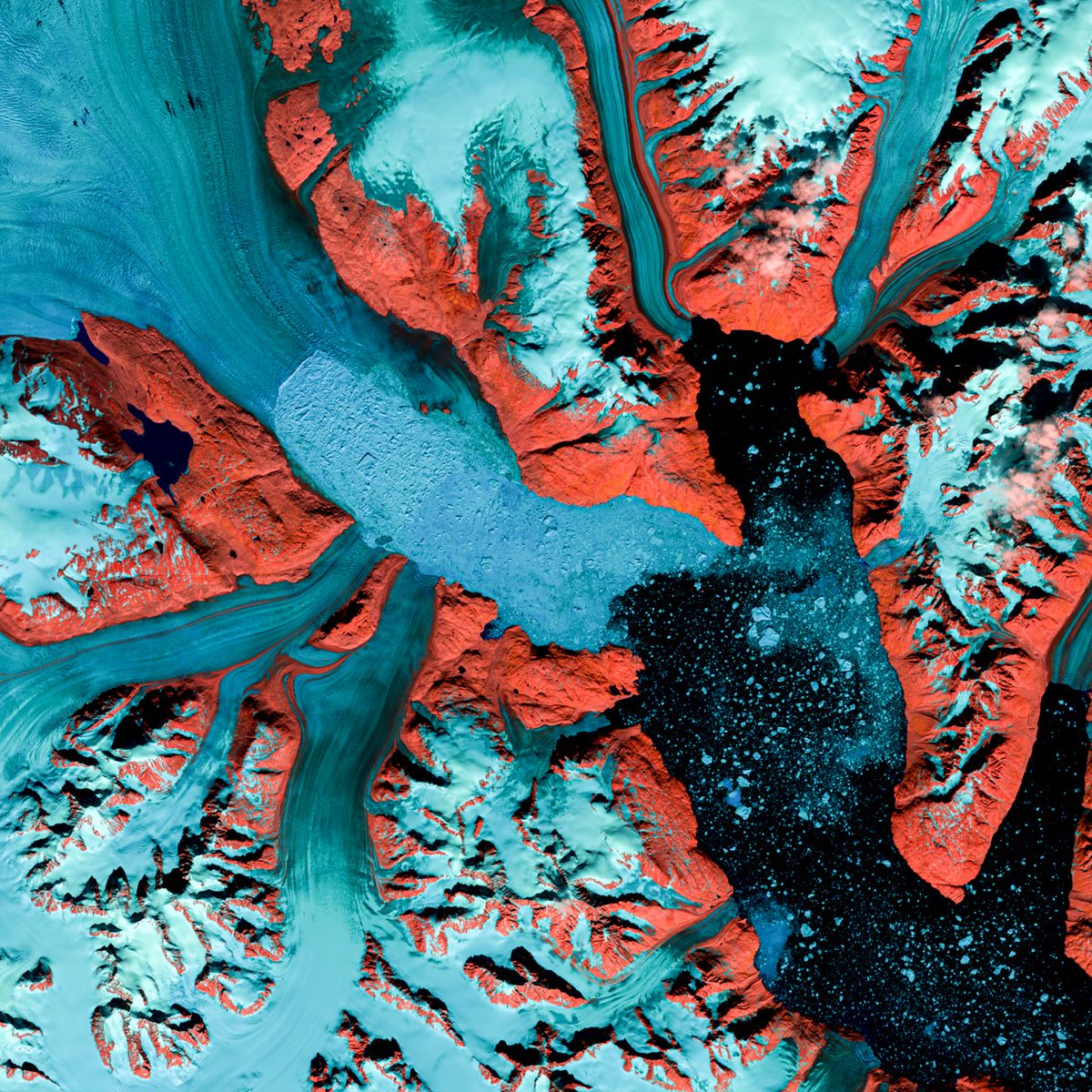 USGS's tweet photo. Read about the Landsat 9 satellite transition from NASA to USGS, the expansion of Landsat science products and more in the September edition of the Latest in Landsat Newsletter: https://t.co/3ObIkcpelF
#Landsat #LCMAP #Wildfires #Water
🛰️🌎💧🔥🗺️ https://t.co/PmFj4FuMsW