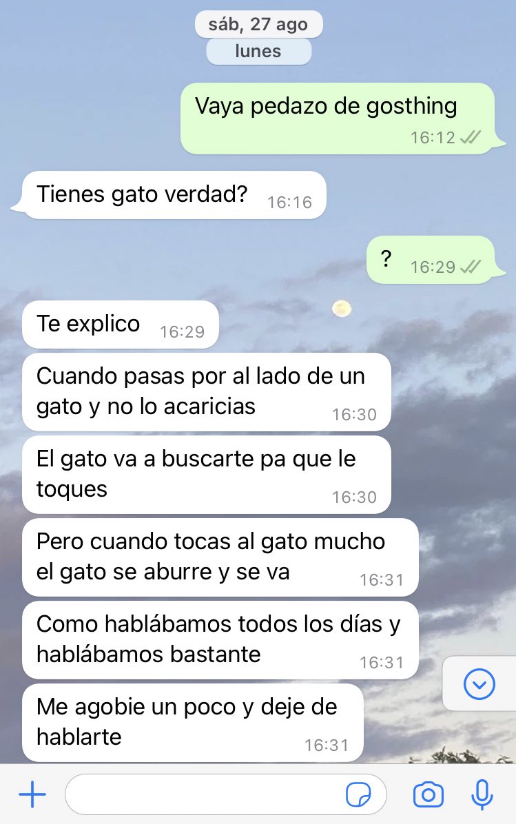 un chico metafórico