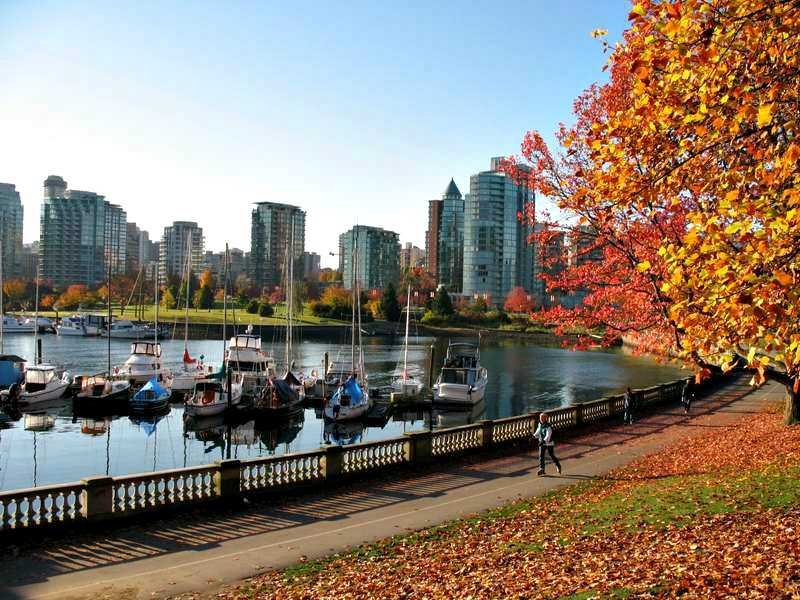 khardman's tweet image. Let's create places FULL OF LIFE, like…

Stanley Park, Vancouver, British Columbia