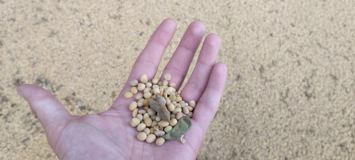 hadoption's tweet image. Visite de découverte des métiers de la #NutritionAnimale. Des professionnels investis au quotidien pour la qualité de l'alimentation des animaux, la rentabilité de l' #elevage et la valorisation des #coproduits de l' #agriculture. 
#SouvraineteAlimentaire.