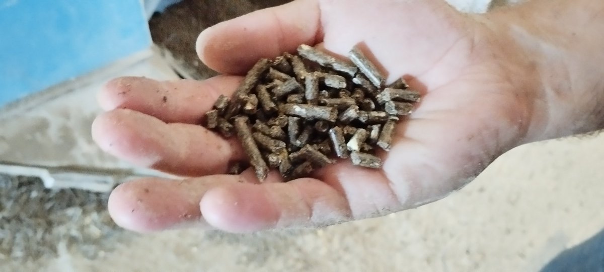 hadoption's tweet image. Visite de découverte des métiers de la #NutritionAnimale. Des professionnels investis au quotidien pour la qualité de l'alimentation des animaux, la rentabilité de l' #elevage et la valorisation des #coproduits de l' #agriculture. 
#SouvraineteAlimentaire.