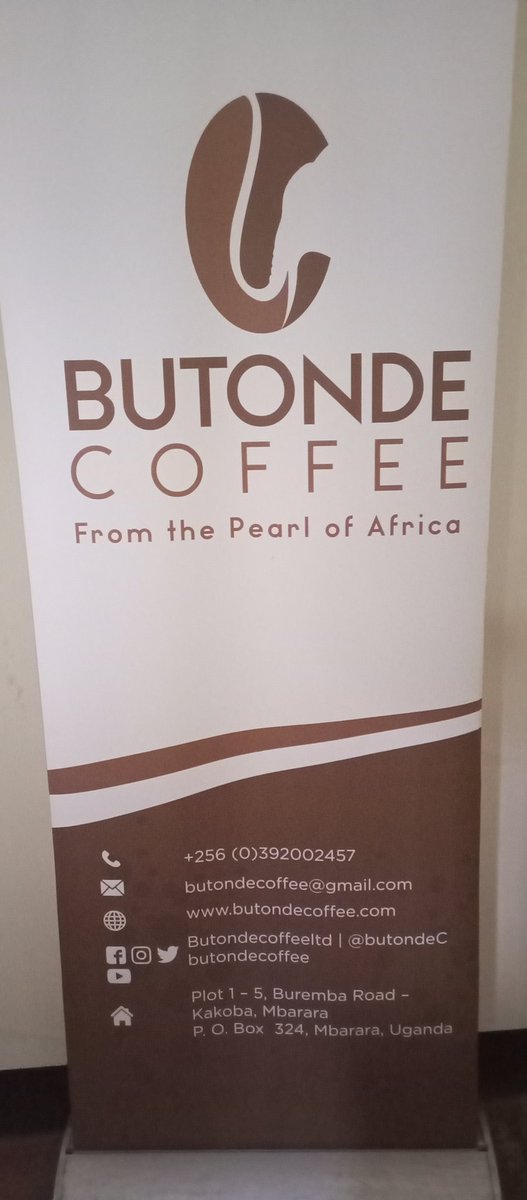 Proviouso's tweet image. 