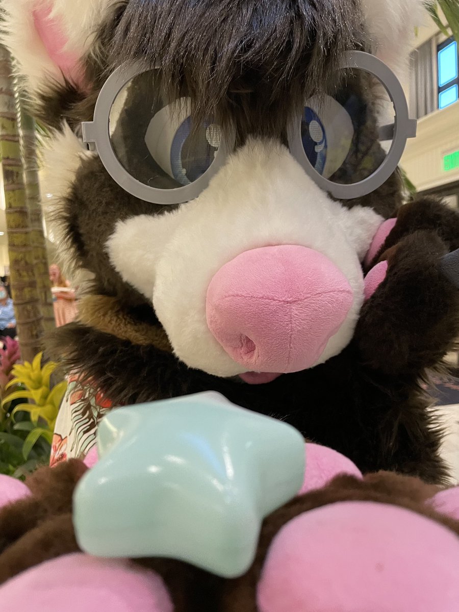 TheFerretFinley's tweet photo. You’re a star! #FursuitFriday https://t.co/mdOrX23NGZ