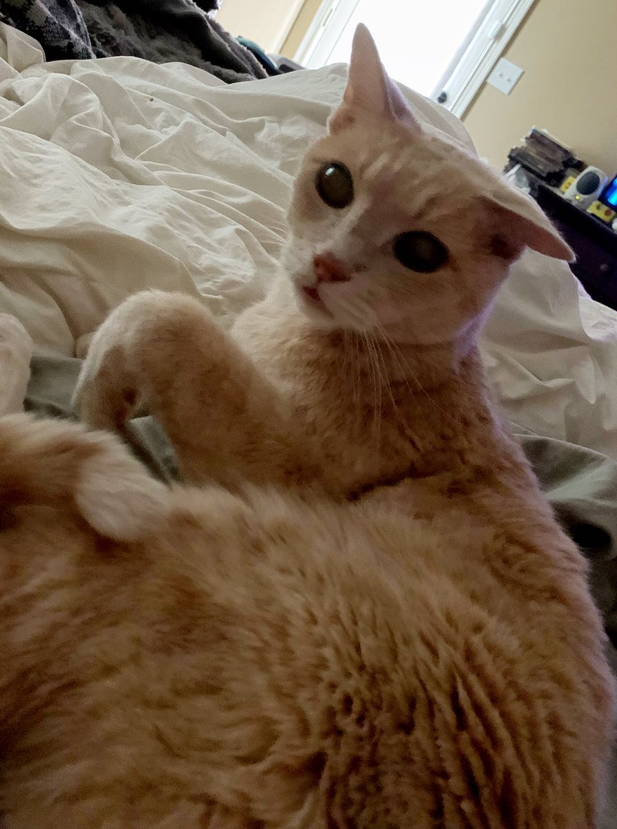 Tobey and I are watching a program about the Queen. Riveting! 👑   #KingCharles #kingCharles3rd #QueenElizabethII #RestInPeace #TheQueen #TheKing