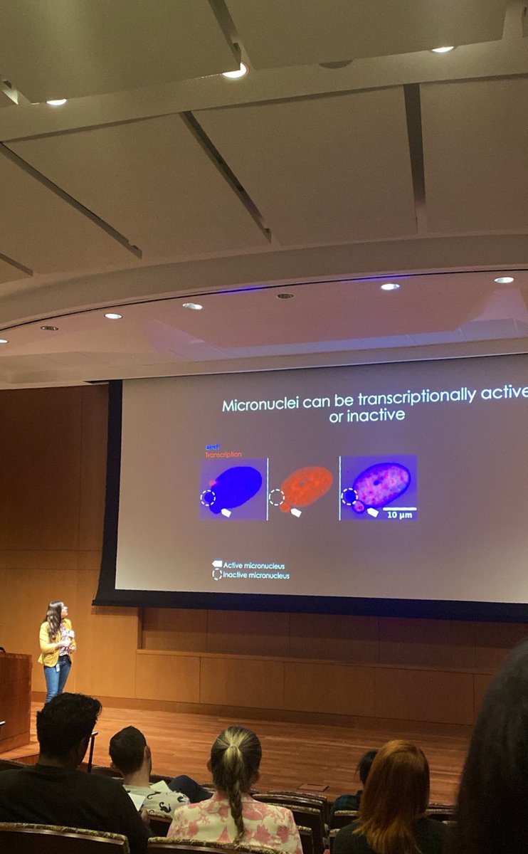 PaxtonKostos's tweet photo. amazing talk by @VictoriaAnn_Has over micronuclei epigenetic regulations! cool discussion of deep learning used in large datasets and such beautiful images! #CRC22 https://t.co/grkKSu0qil