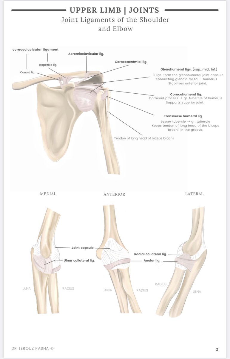Dr Terouz Pasha tweet media