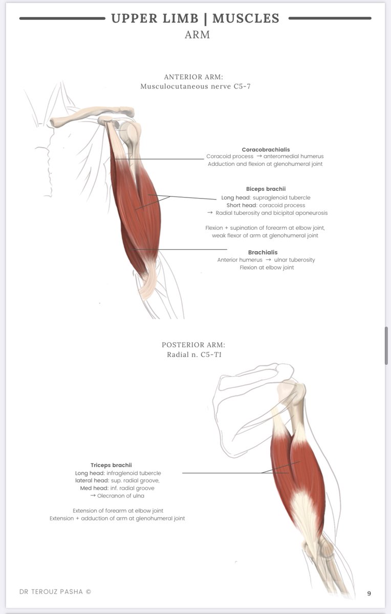 Dr Terouz Pasha tweet media