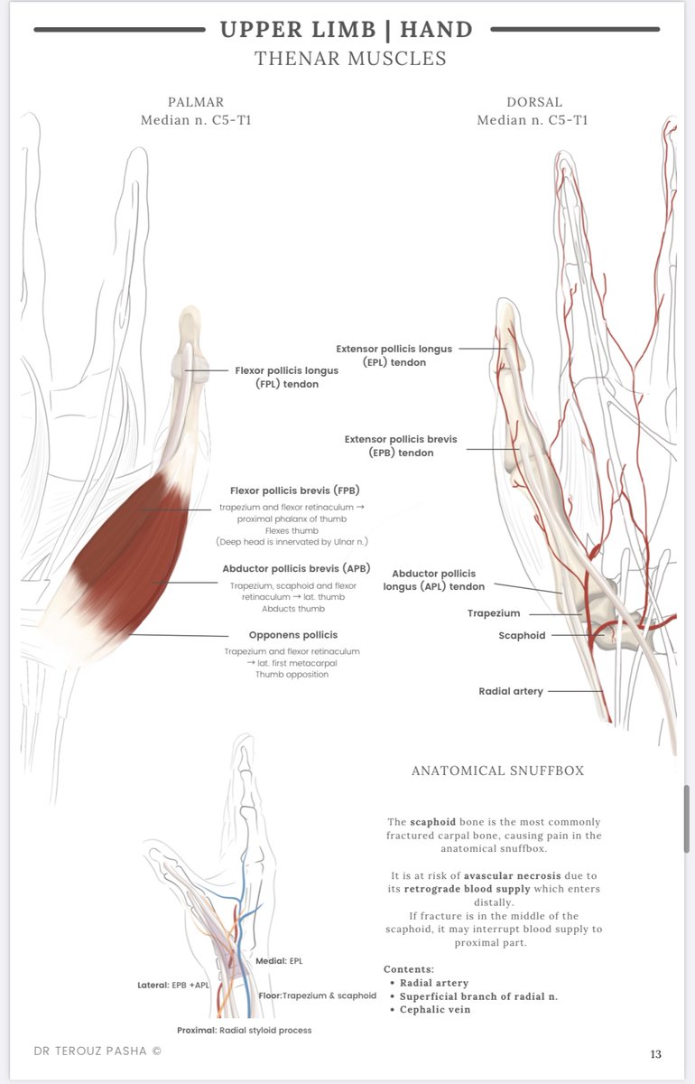 Dr Terouz Pasha tweet media