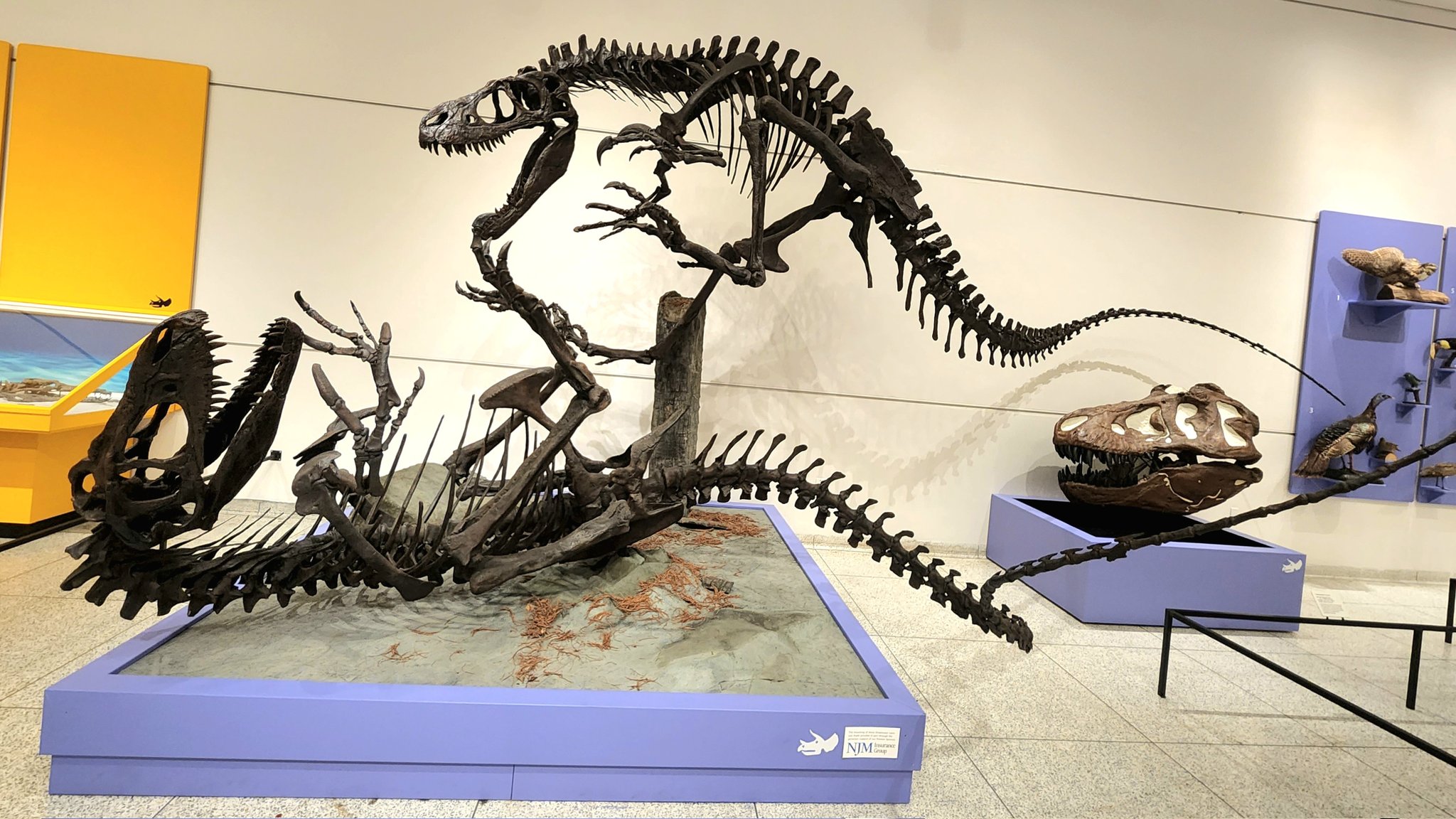 I Prehistoric Iron On Patch Museum Dinosaur Science 