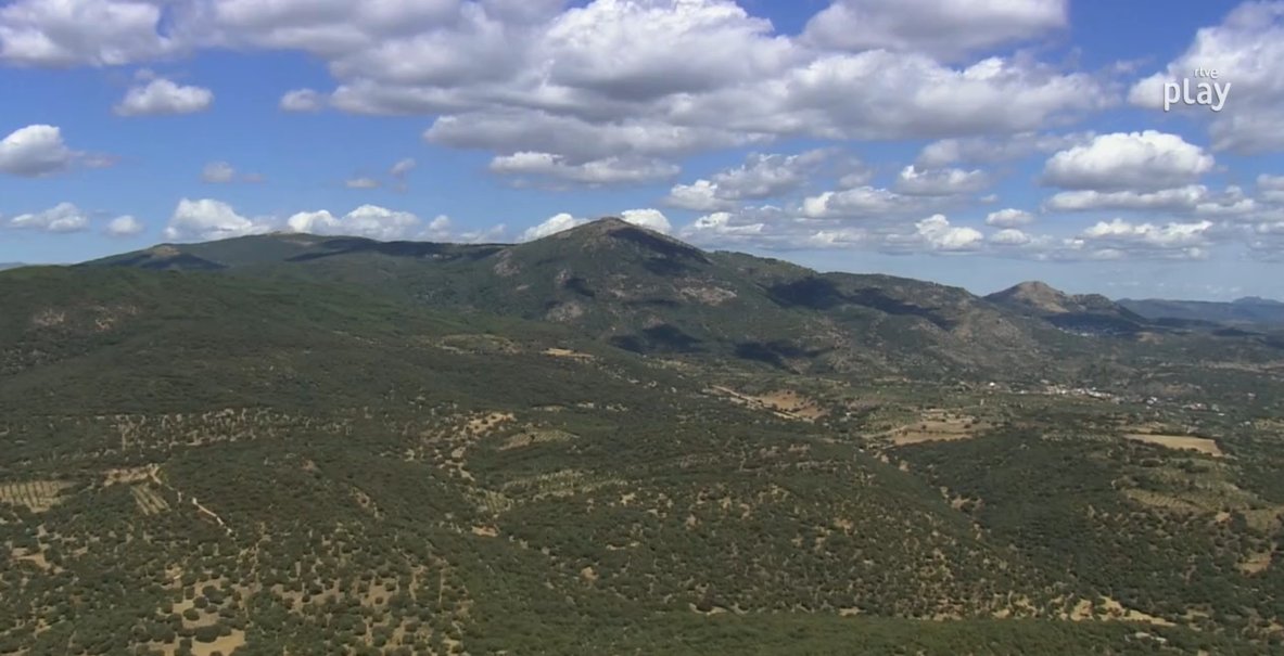 juanfdelacruz's tweet photo. #LaVuelta22.  Victoria para Mads Pedersen (Trek) en 
Talavera de la Reina. Segunda @lavuelta seguida con al menos tres victorias de etapa danesas. Remco 
Evenepoel, sin problemas, otro día más de rojo. 
 #LaVuelta #ciclismo #cycling #cyclisme https://t.co/khcCd1nOm9