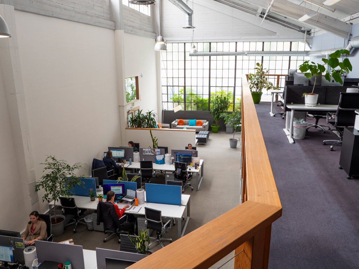 By some miracle, we were able to keep our trees alive during our two-year time away from the office.

We’re so grateful to share a space with each other and our thriving plants.