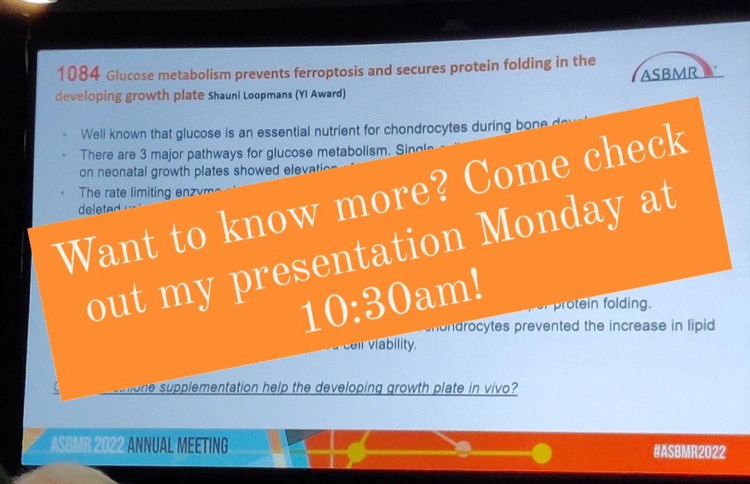 SLoopmans's tweet photo. Thank you Lynda Bonewald for highlighting our work from @GeertLab at the #ASBMR2022 Basic Science and Translational Highlights!! I will be presenting this at the very last day, but in my very biased opinion it is worth the wait! 🦴 @ASBMR #bonedevelopment #metabolism https://t.co/3IOYzcJAVC