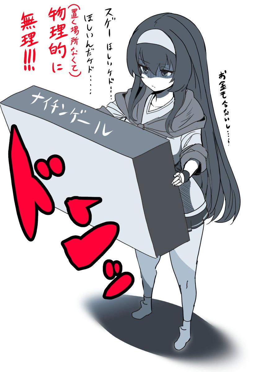 今日模型屋さんでナイチンゲール見つけたんだけど・・・諦めるわ 