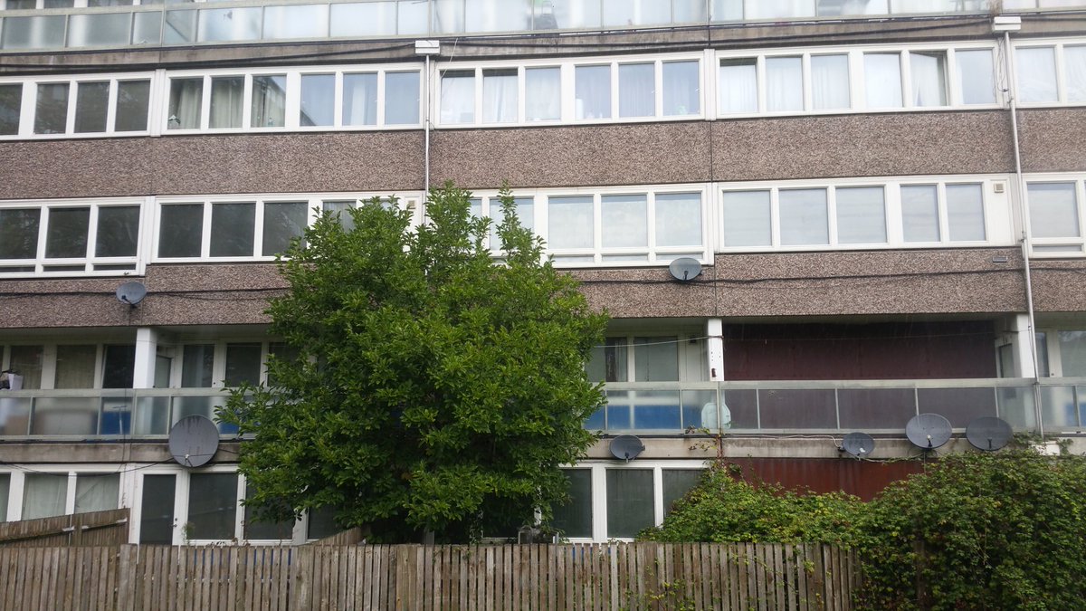 Your regular reminder that there are currently more than 600 empty council homes awaiting demolition on the Aylesbury estate.