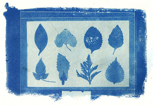 FOTOFORUMSF's tweet photo. Community Cyanotype day at Foto Forum Santa Fe- https://t.co/yBIhXax54u https://t.co/NpZ1OHv5Nn