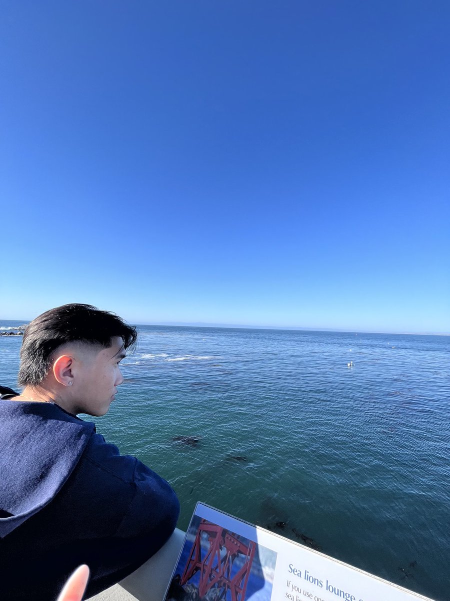 dannycluu's tweet photo. 🌊🎍 https://t.co/WThZcoCX5H