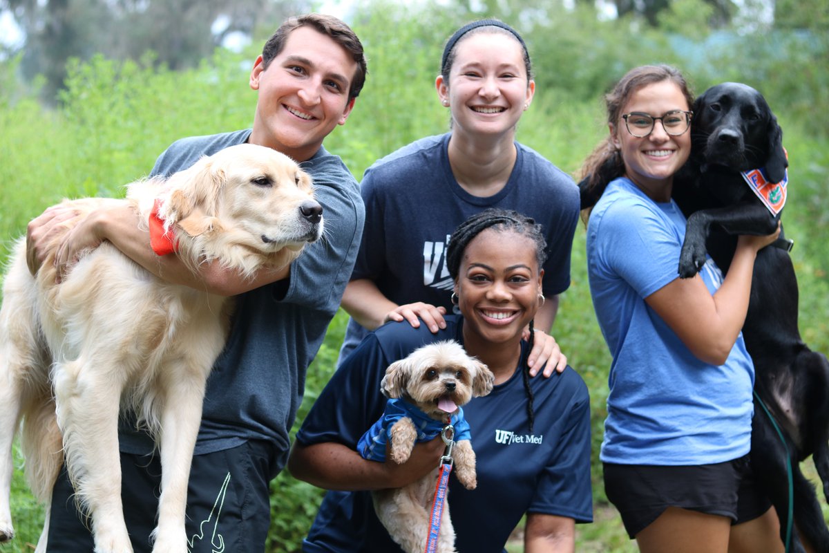 UFVetMed's tweet photo. The @VMCASVetApp closes today! Good luck to all applicants and to all of our other #vetmed colleges, get ready to process those applications! 

Over the last five years, @UFVetMed has seen a 192% increase in applications! Can't wait to see who joins our team! https://t.co/xVMCplo5OC