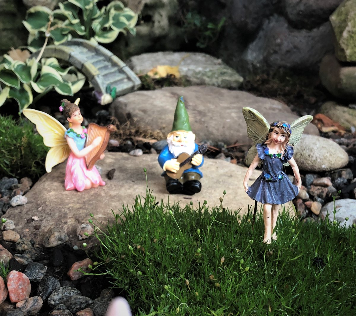 Happy #FairyFriday! Penelope is enjoying dancing on the new Irish Moss while Brigid and Gniven play some dance music.

#Fairy #Gnome #FairyGarden #GnomeGarden #Dance