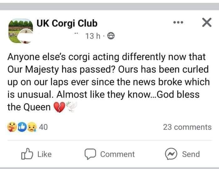 Casual UK tweet media