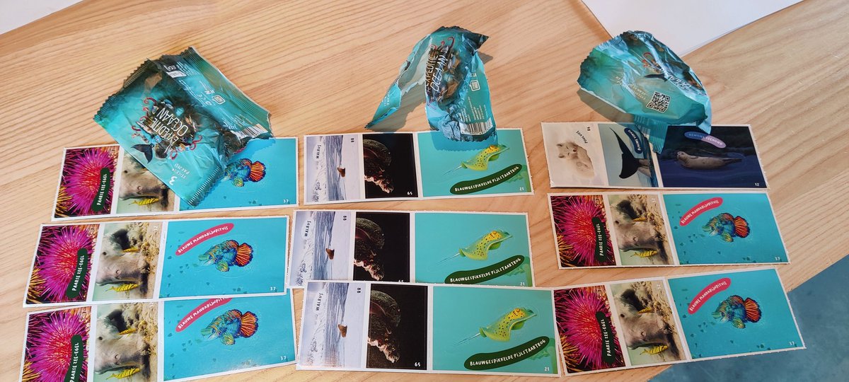bartosia's tweet photo. Hoi @albertheijn, op deze manier wordt het wel een hele uitdaging om het boek vol te krijgen ;). Zijn de ruildagen al gepland? #oceaanplaatjes https://t.co/wSeVLTuyx5