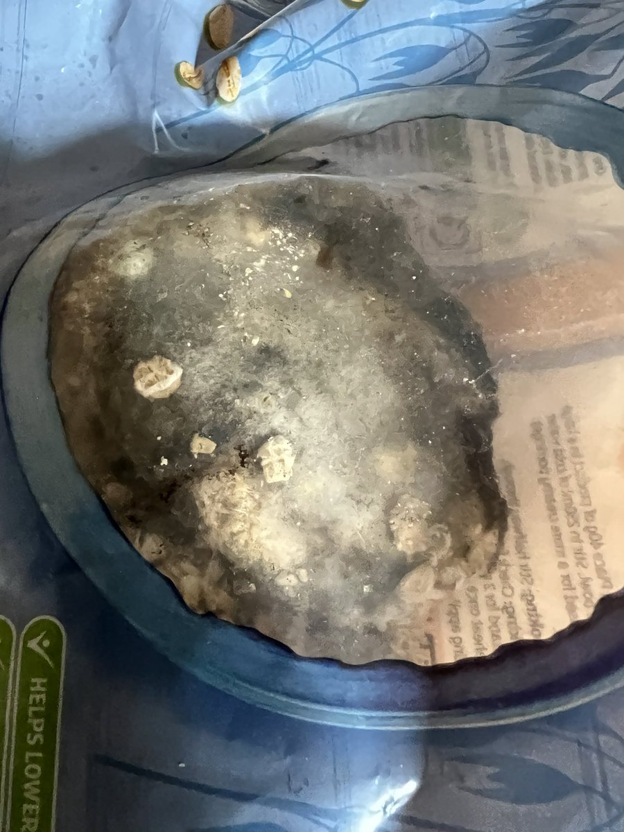 EvMaSt's tweet photo. @sainsburys  bought your porridge &amp; found what looks like a face mask in it.  All moulded.  I had decanted half into a sealed container which we have eaten and when putting the rest in this was revealed. Worried for our health.  No call 24 hrs after reporting.  #porridge #poison https://t.co/aANulUmhTX