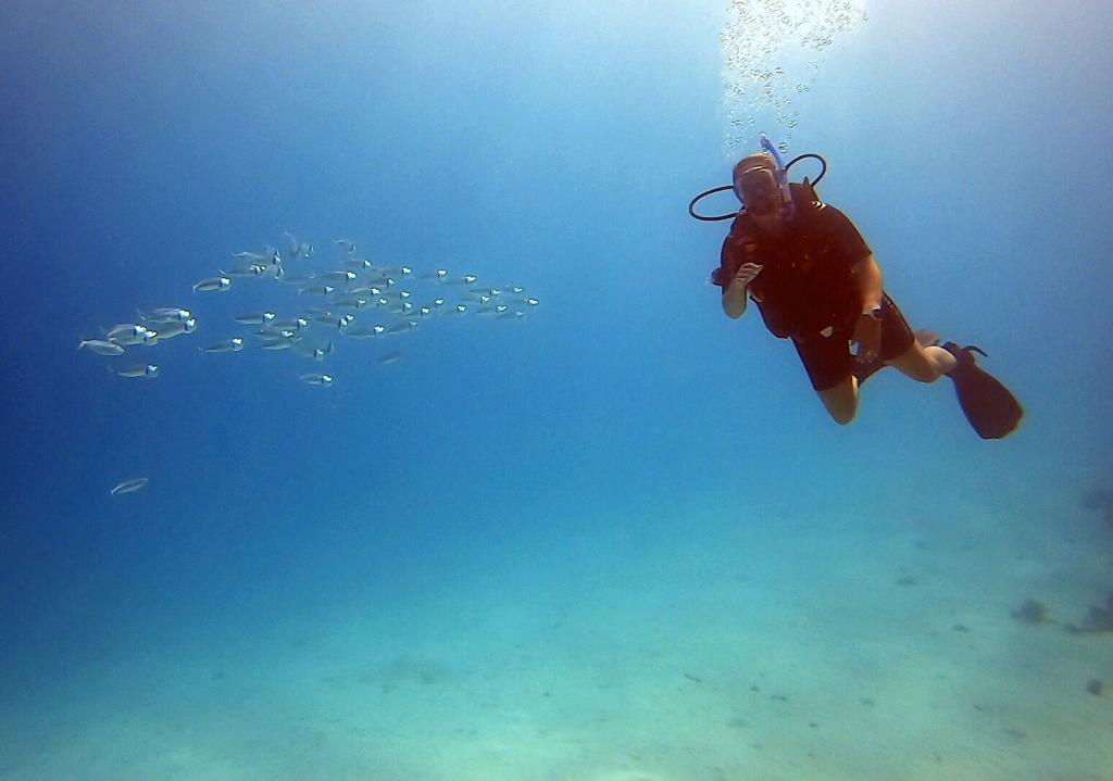 Nicky Wrightson tweet media