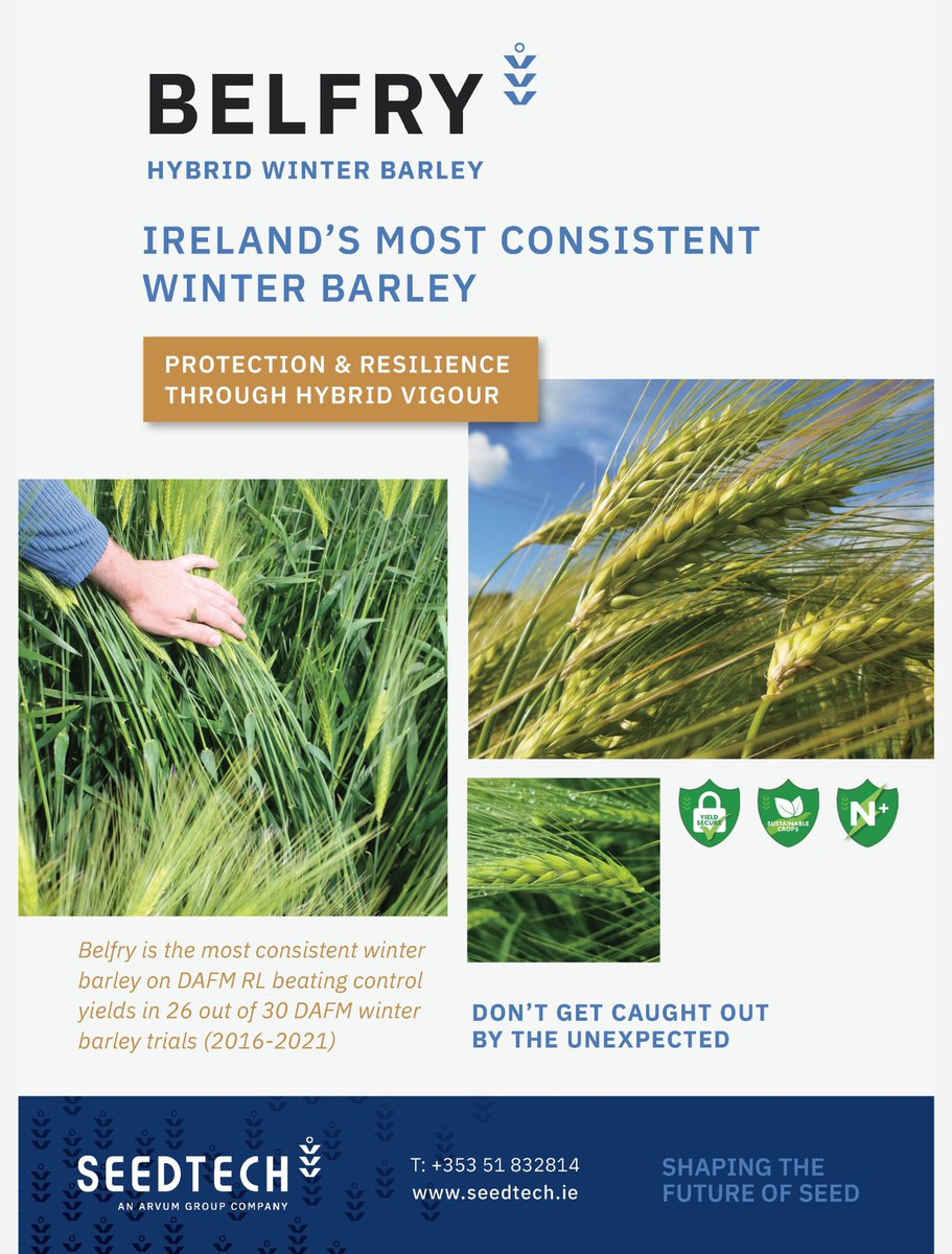 seedtechnology's tweet photo. Ireland's most consistent winter barley - Belfry Hybrid Barley

Protection and resilience through hybrid vigour

#winterbarley
#recommendedlist https://t.co/7SMAEruzrt