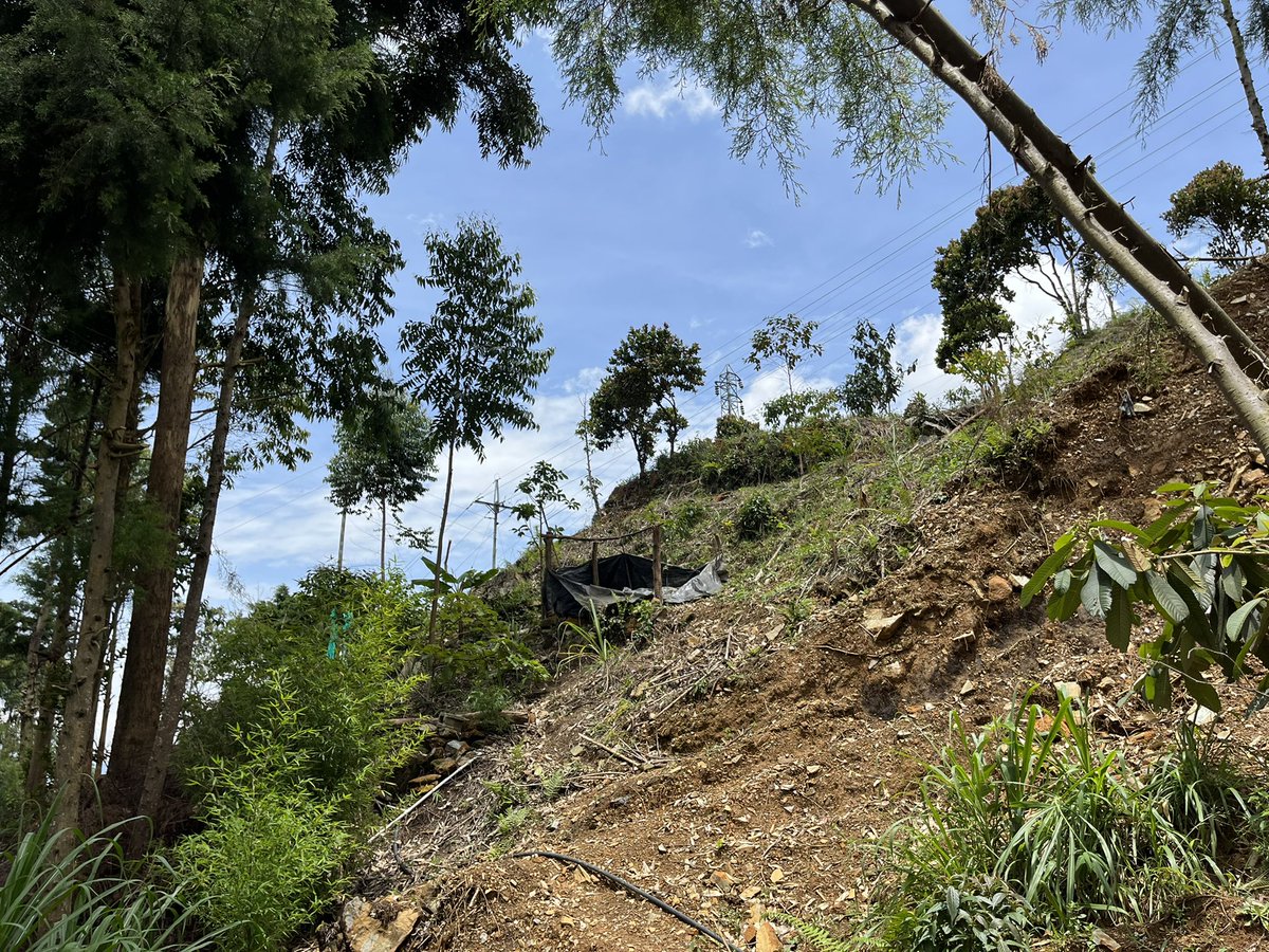 urbam_EAFIT's tweet photo. “Los barrios más expuestos, son los más vulnerables y estos son los que están creciendo más rápido. En el 2021 surgieron 71 nuevas casas en Bello Oriente en las zonas de alto riesgo”⚠️ Presentación proyecto #InformRisk https://t.co/IbUnkGWlH2
