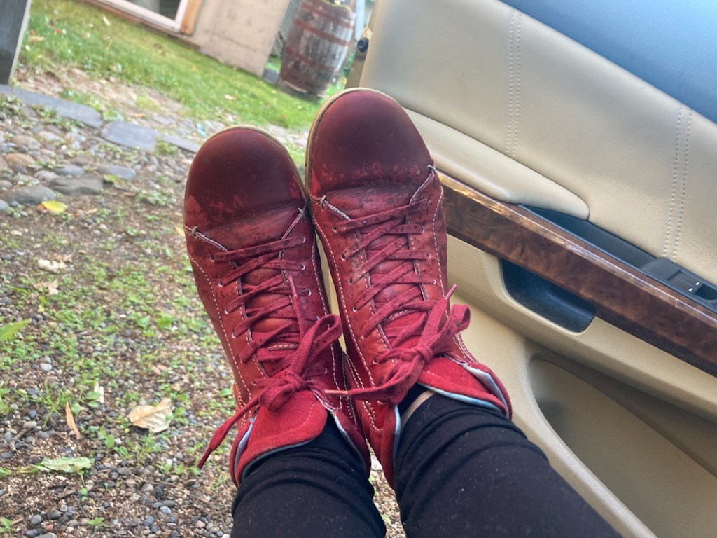 POPFASD's tweet photo. She may be retired but the dedication doesn't stop! Meredith showing off her red shoes :)
#FASDAwarenessDay #fasd #popfasd #redshoesrock #bced #inclusion #fasdawareness https://t.co/jsKywUrrjX