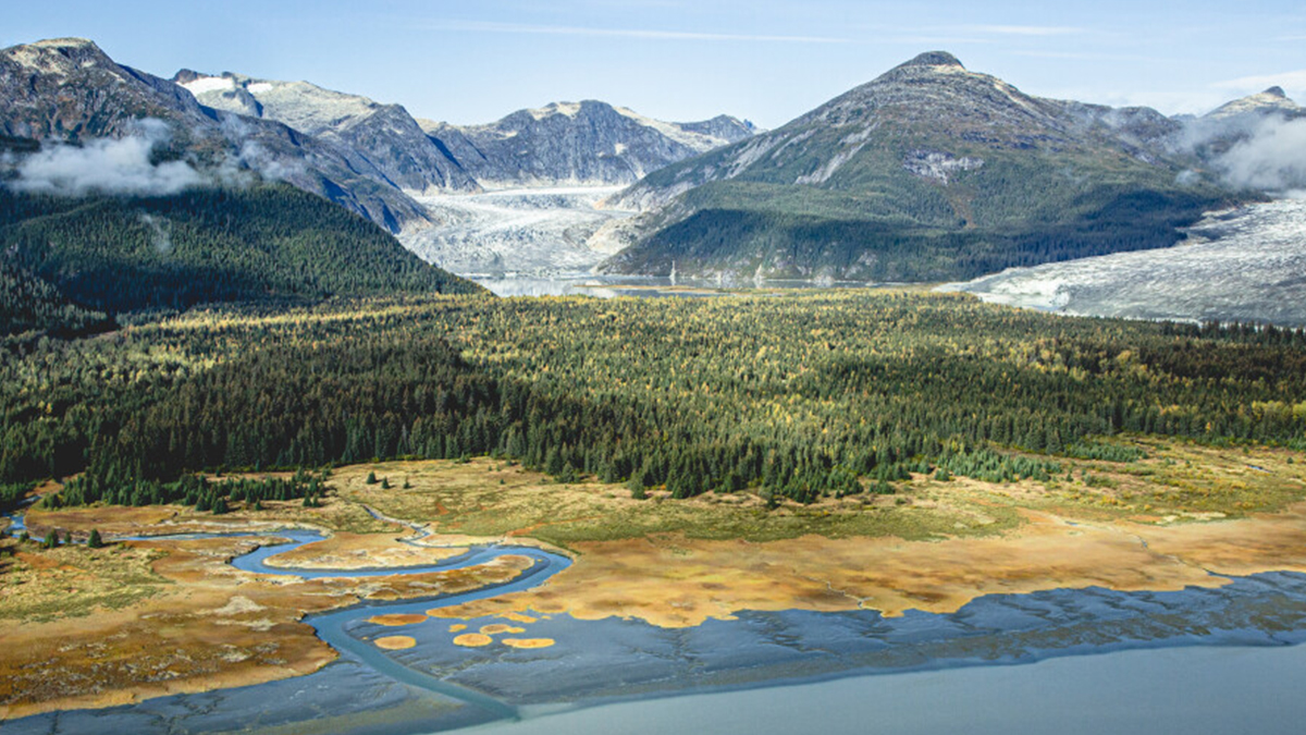 conservationall's tweet image. #FundedProjectFriday. #granteespotlight 
@southeast_ak_cc - Funded in 2021 - Keeping the Tongass Wild: To protect 9.2 million acres of inventoried roadless areas on the Tongass National Forest and secure administrative moratorium on old-growth logging. #wekeepitwild