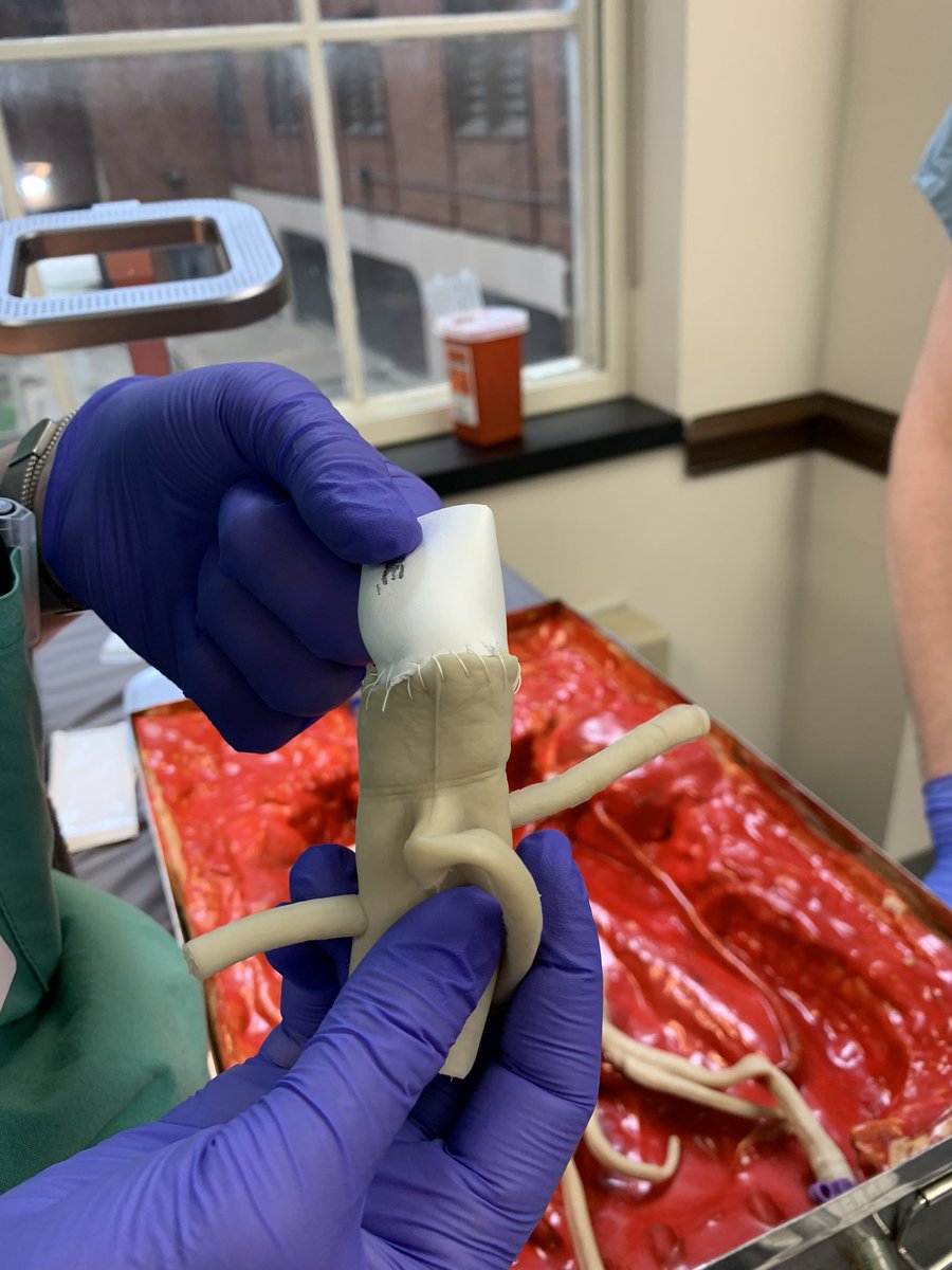 UABVascular's tweet photo. Enjoying the first simulation of the new academic year! @UABSurgery @AWBeckMD @LoupesLoveMD @HawkeyeBJP https://t.co/d6B5E1rBpn