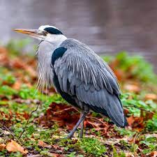 LSou302's tweet image. 