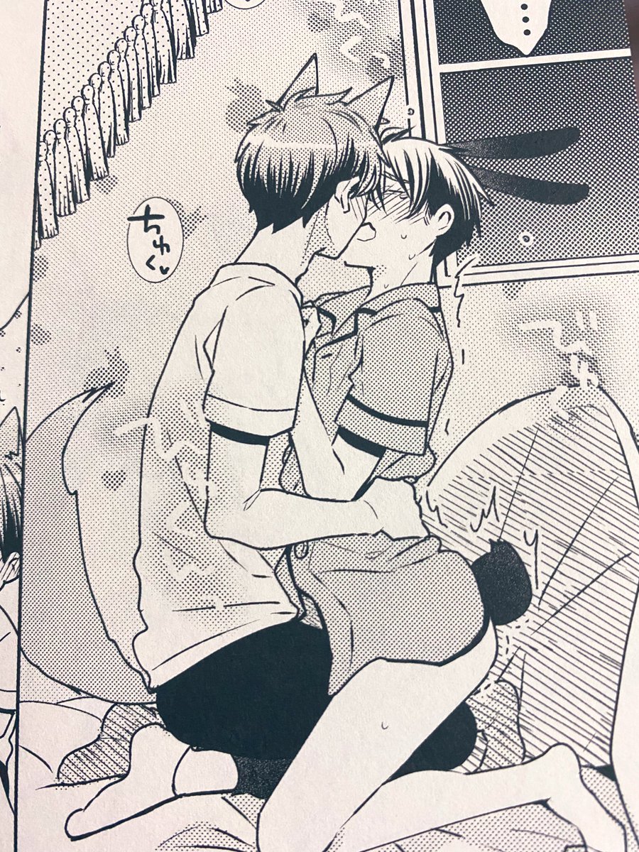 🐺🥕🐰 