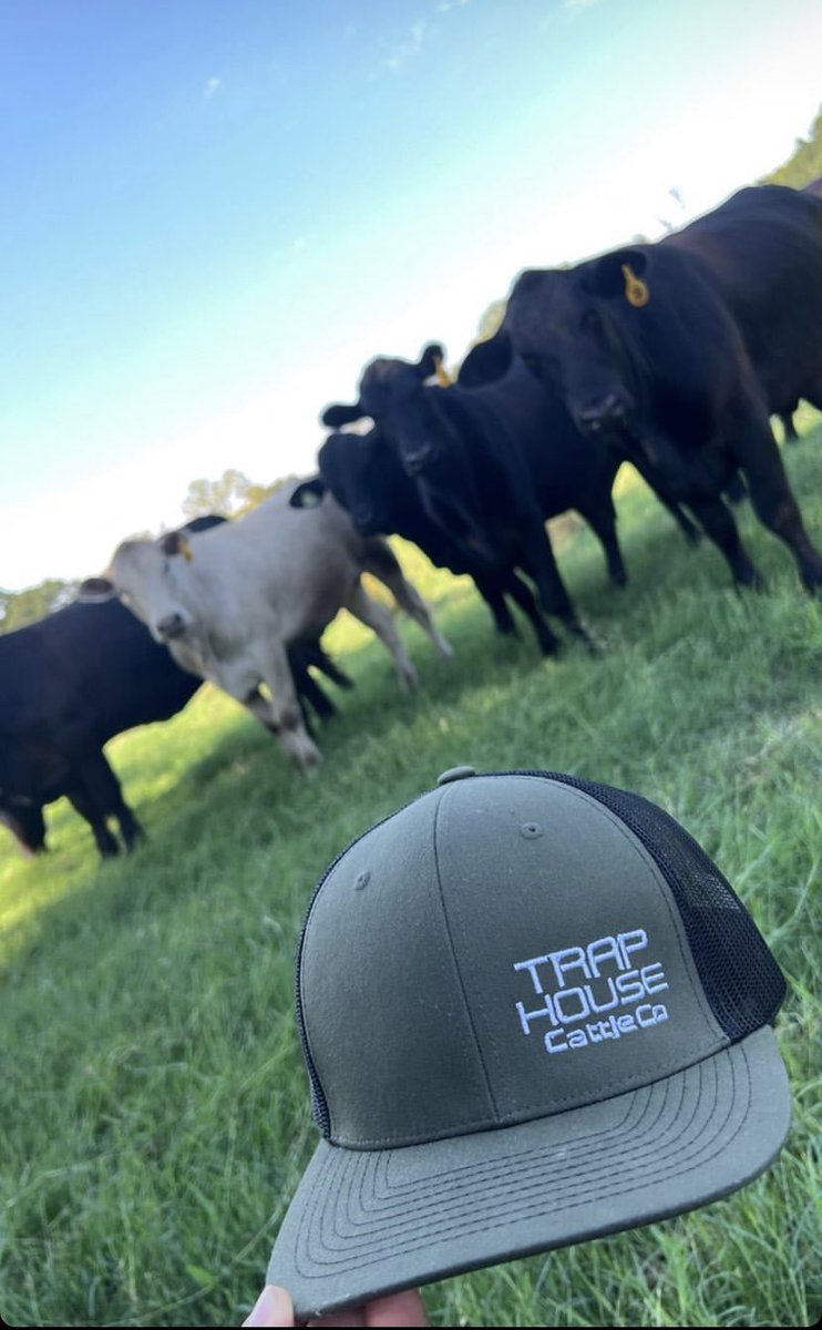 williamsc419's tweet photo. In honor of Big Hern’s Birthday! All Trap House Cattle Co. hats are $30 today! #FlyHigh17 https://t.co/0cJr80wvMQ