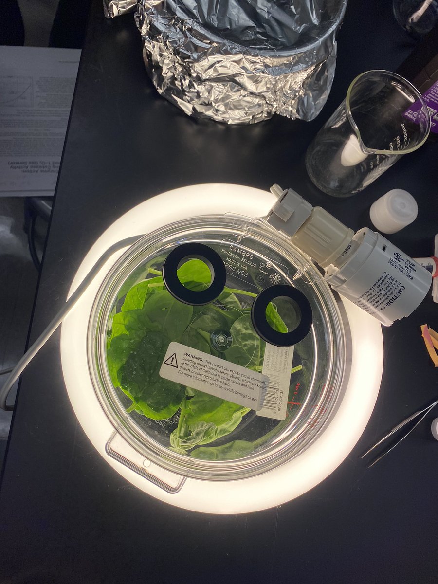 DrWhitneyHolden's tweet photo. Teachers in the #AdvancedBioPlus program are here at #ASMSA to learn 5 different AP Bio labs in our first post-COVID in-person lab training, including high-tech versions with sensors and biotech equipment, along with low cost alternatives. #StemEducation https://t.co/S5fi8xGYRG