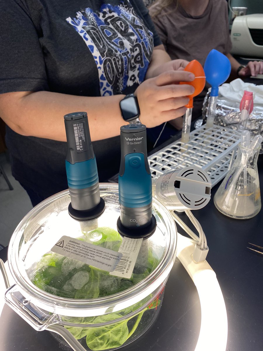DrWhitneyHolden's tweet photo. Teachers in the #AdvancedBioPlus program are here at #ASMSA to learn 5 different AP Bio labs in our first post-COVID in-person lab training, including high-tech versions with sensors and biotech equipment, along with low cost alternatives. #StemEducation https://t.co/S5fi8xGYRG