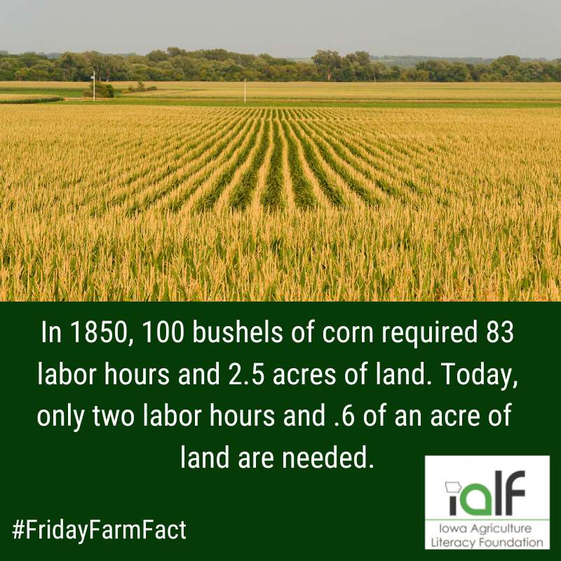 IowaAgLiteracy's tweet photo. #FridayFarmFact https://t.co/HC6MmtMmwt