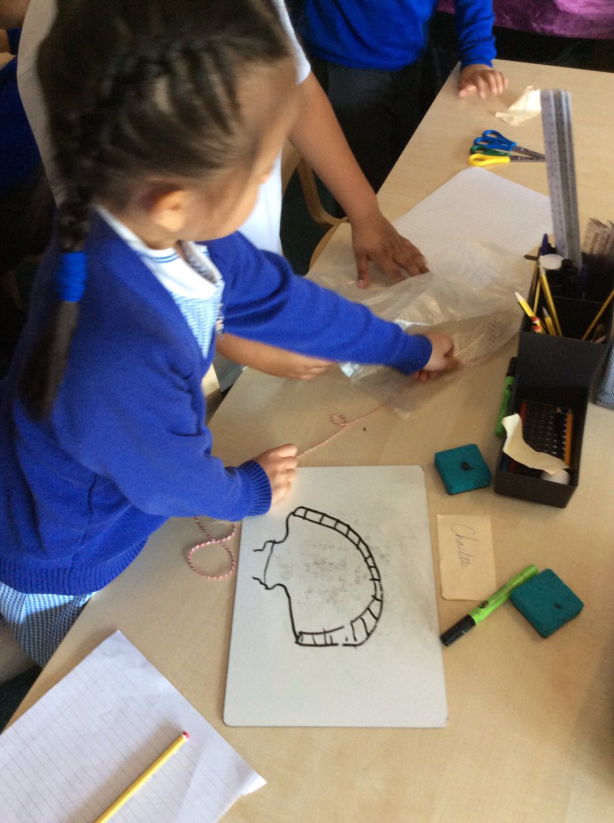 Foxfield Year 2 Ash tweet media