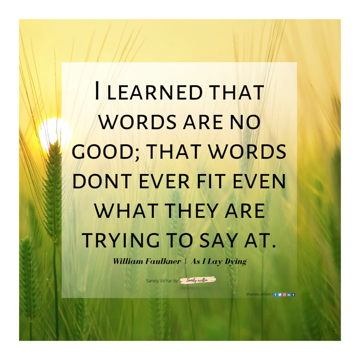 sanely_vichar's tweet photo. #sanely_vichar #sanely_written #self_acceptance #introspection #life #Saturday @sanely_written https://t.co/wsHBrtWQnx