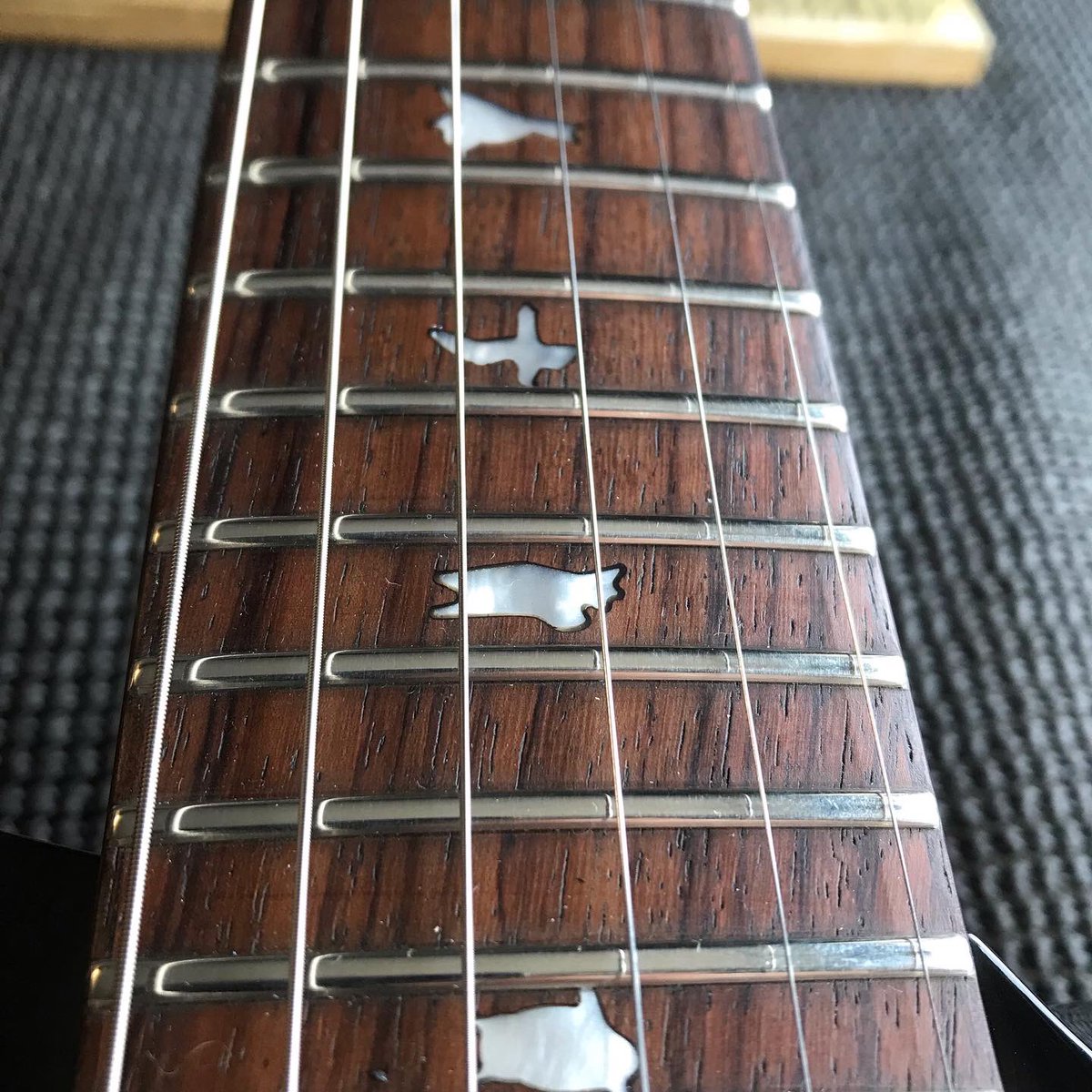 ABGuitartech's tweet photo. PRS SE - new top nut, frets dressed and serviced. Many thanks to Tony. #prs #prsguitars #prsse #prsguitar #topnut #fretdress #fretdressing #guitartech #guitartechnician #guitarrepair #guitarrepairs #guitarworkshop #guitarsetup #guitarsetups https://t.co/rrfQp8YqDN