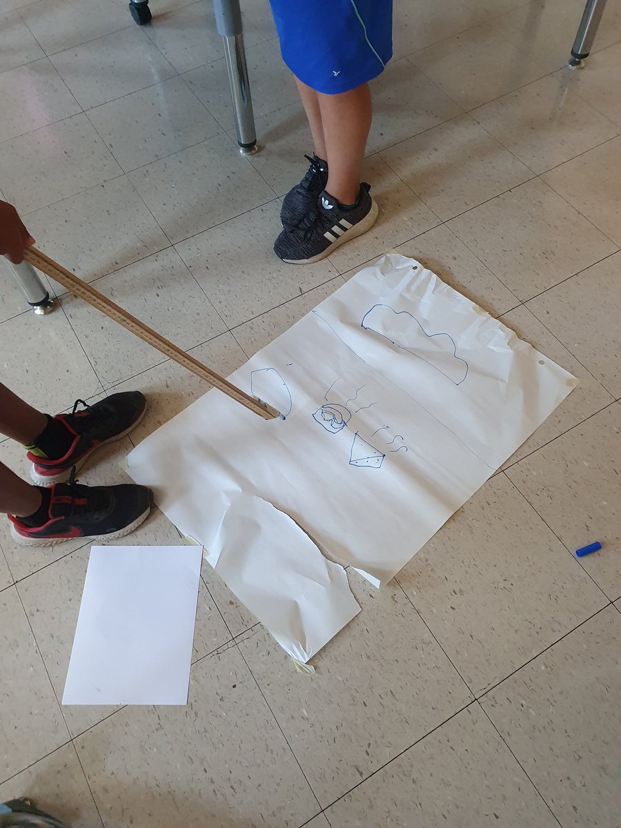 Tracy Terry tweet media