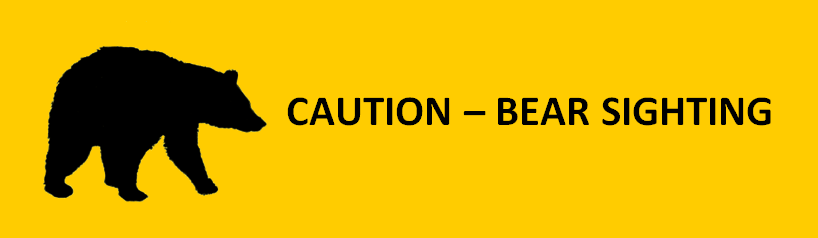 REID LAKE - WARNING BEAR IN THE PARK 
Reid Lake campers please remember to be diligent this weekend on keeping a clean camp and store attractants in vehicles to avoid encounters. For more information on Bear Safety please visit: enr.gov.nt.ca/en/services/be…