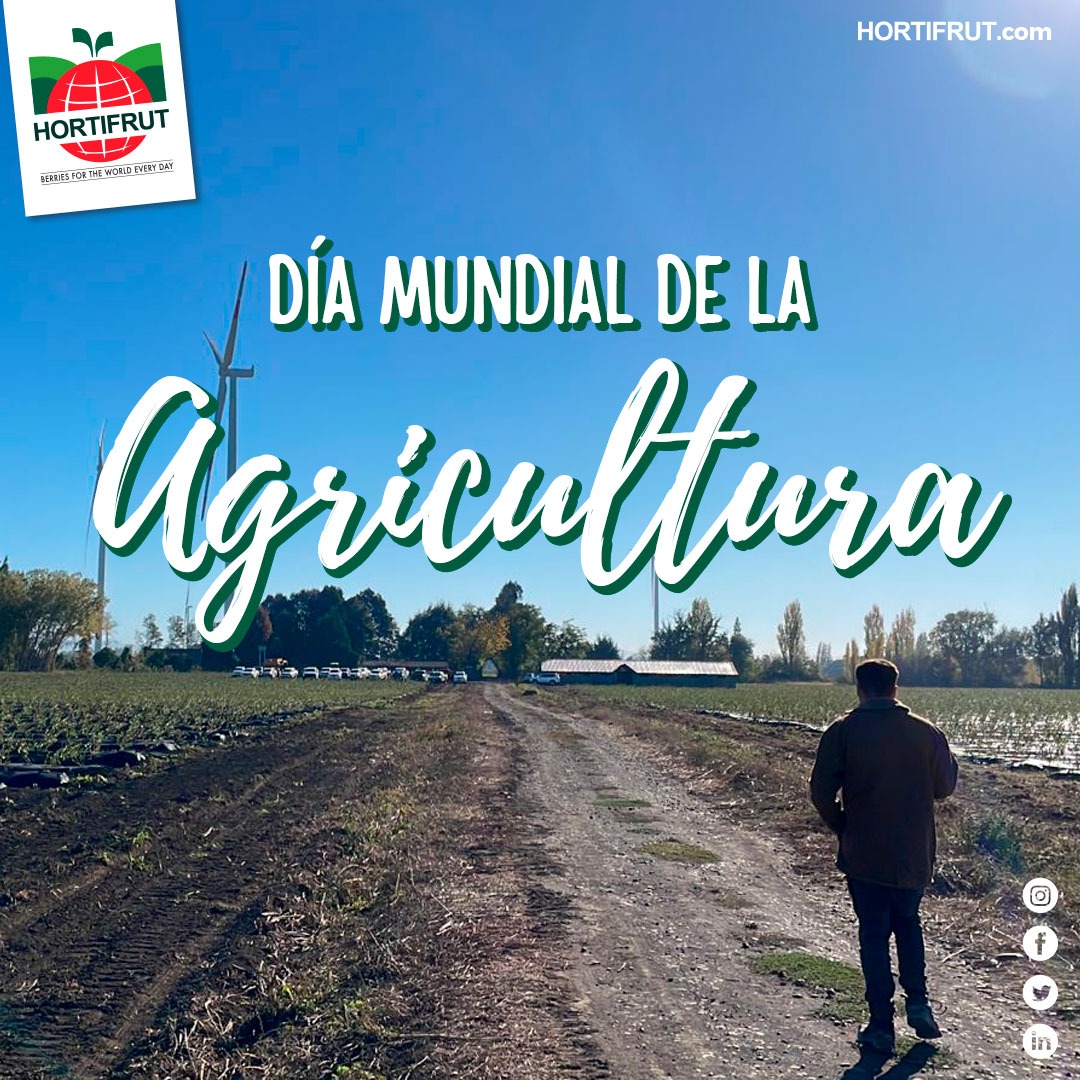El 9 de septiembre se celebra el Día Mundial de la Agricultura 🌱. En Hortifrut nos sumamos a este homenaje 🙌🏽 a todas aquellas personas que dedican su vida a cultivar las tierras para abastecer a las poblaciones 🌏 de comida. 

#BerriesForTheWorld 💚 #Hortifrut